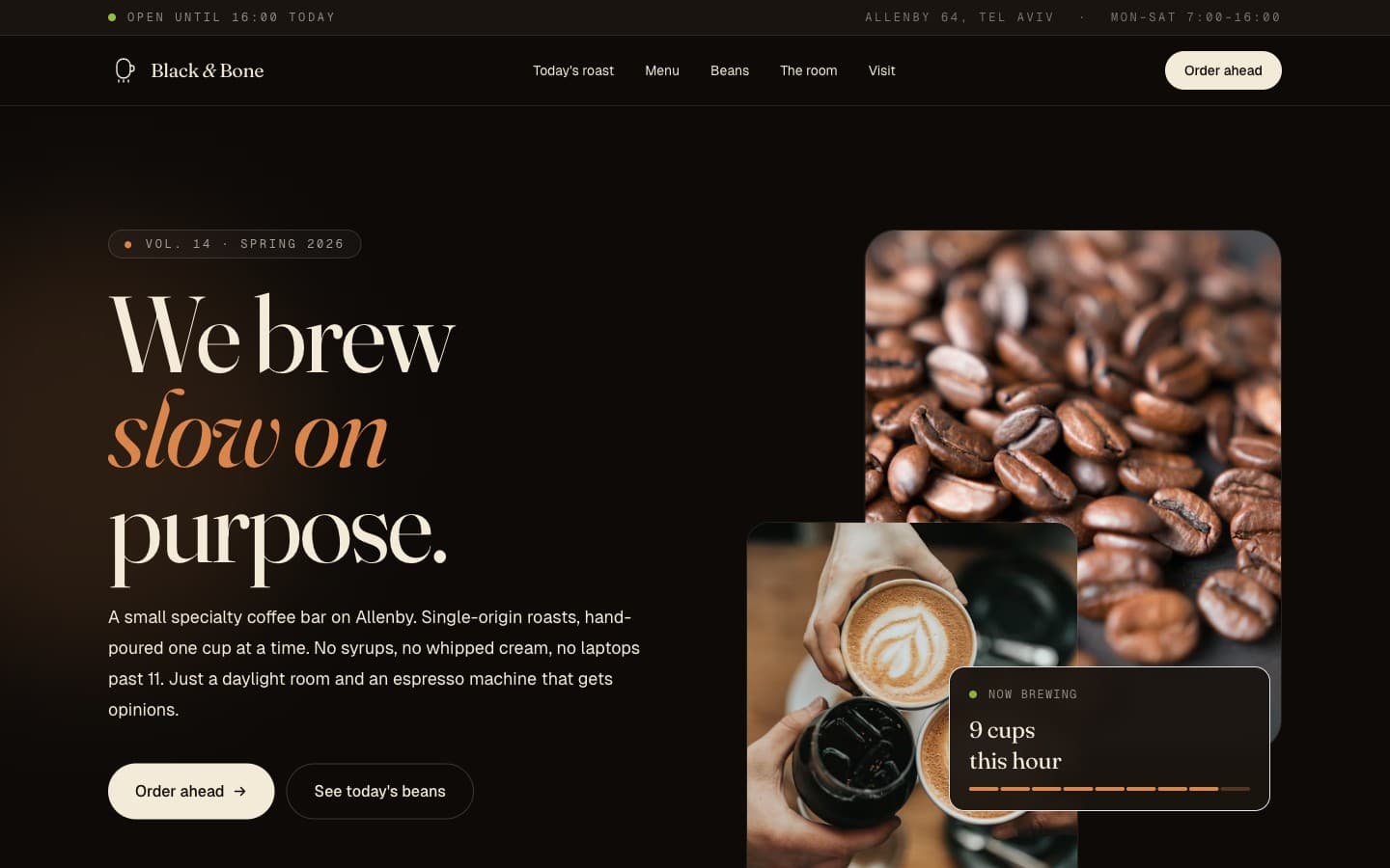 Black & Bone preview